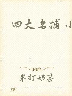四大名捕 小说
