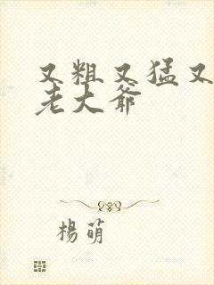 又粗又猛又大爽老大爷