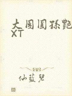 大团圆孙艳梅TXT