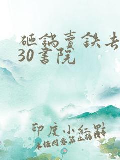 砸锅卖铁去上学30书院