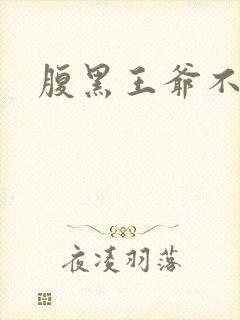 腹黑王爷不良妻