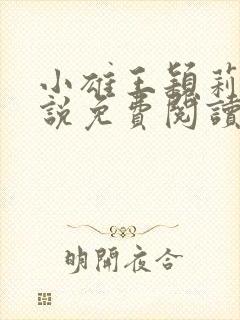 小雄王颖莉的小说免费阅读全文