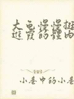 大龟慢慢挺进王进霞的体内