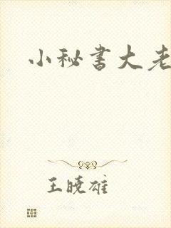 小秘书大老婆