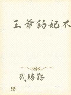 王爷的妃不是妃