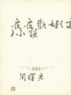 夜夜欢好(高h)小说