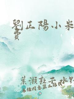 刘正阳小米多免费