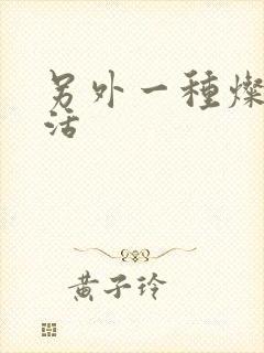 另外一种灿烂生活