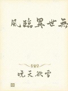 风临异世无弹窗