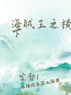 海贼王之横行天下