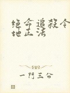 绝命追杀令2就地正法