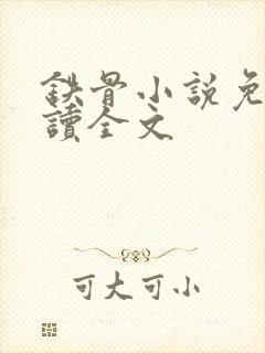 铁骨小说免费阅读全文