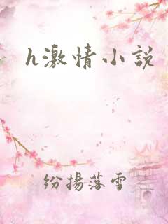 h激情小说