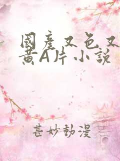 国产又色又爽又黄A片小说