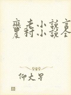 恋老小说言情网农村小说全文阅读