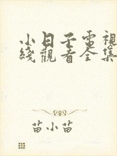 小日子电视剧在线观看全集免费高清