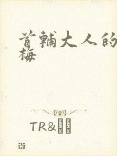 首辅大人的小青梅