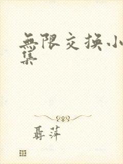 无限交换小说全集