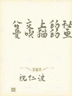 公交上的秘密 爱吃猫的鱼