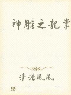 神雕之龙掌门