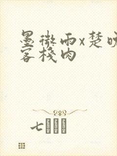 墨微雨x楚晚宁客栈肉