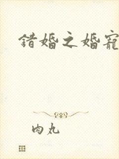 错婚之婚宠一世