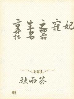 重生之宠妃白莲花名器