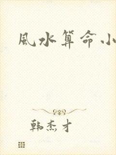 风水算命小说