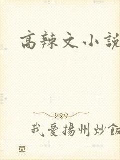 高辣文小说