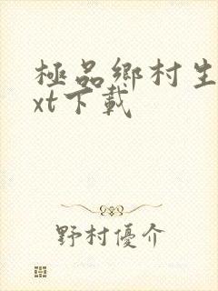 极品乡村生活txt下载