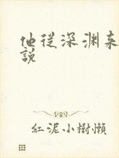 他从深渊来 小说