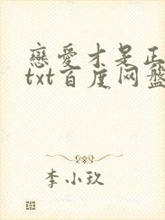 恋爱才是正经事txt百度网盘