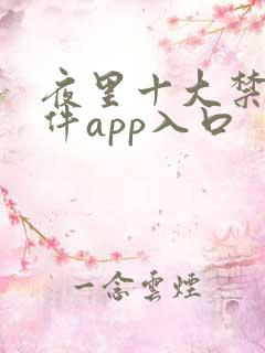 夜里十大禁用软件app入口