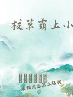 校草霸上小丫头