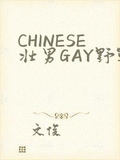 CHINESE壮男GAY野战强迫TUBE