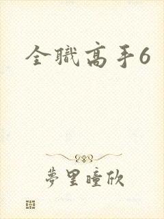 全职高手6