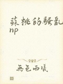 苏桃的骚乱文肉np