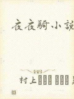 夜夜骑小说
