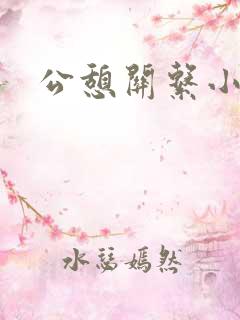 公憩关系小说