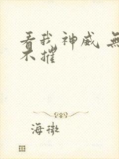 看我神威 无坚不摧