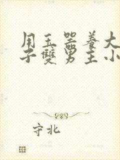 用玉器养大的皇子双男主小说