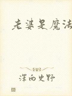 老婆是魔法少女