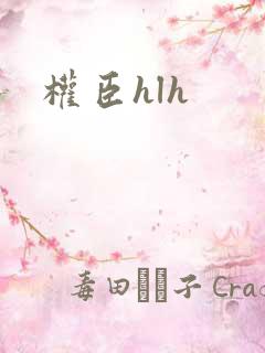权臣hlh