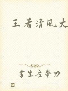 王者清风大结局