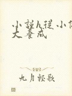 小说h从小做到大养成