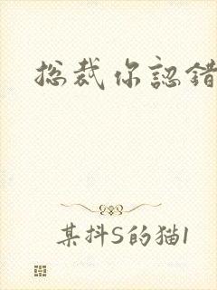 总裁你认错人了