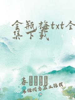 金瓶梅txt全集下载