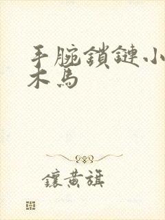 手腕锁链小黑屋木马