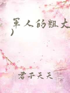 军人的粗大(h)