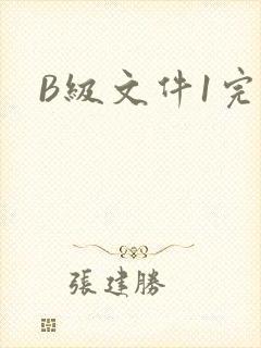 B级文件1完整